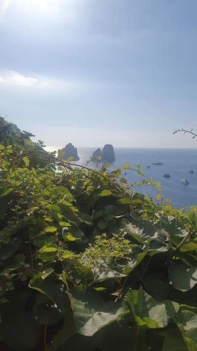 Casa Al Mare Villa Capri Luaran gambar